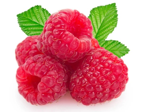 Fresh raspberry on white background — Stock Photo, Image