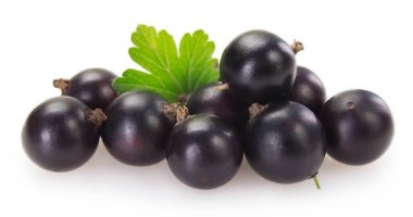 Beyaz arka planda Siyah frenk üzümü