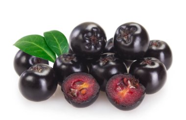 Beyaz arka planda taze chokeberry