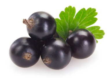 Beyaz arka planda Siyah frenk üzümü