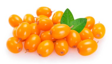 Deniz cehri çilek beyaz arka plan üzerinde