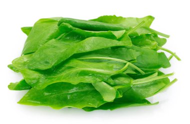 Beyaz arka planda taze sorrel