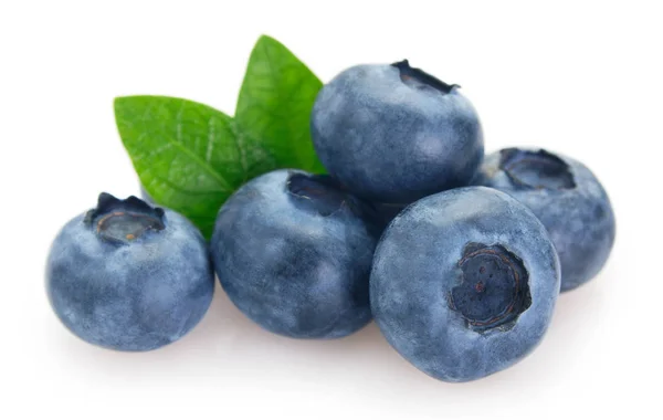 Fresh blueberry on white background — Stock Photo, Image