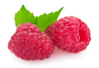 Beyaz arkaplanda taze ahududu