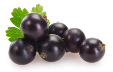 Beyaz arka planda Siyah frenk üzümü