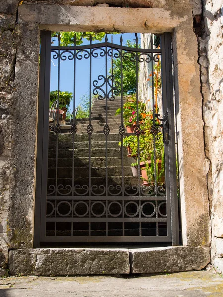 Kotor Panorama Pevnosti Vrcholu Kopce — Stock fotografie