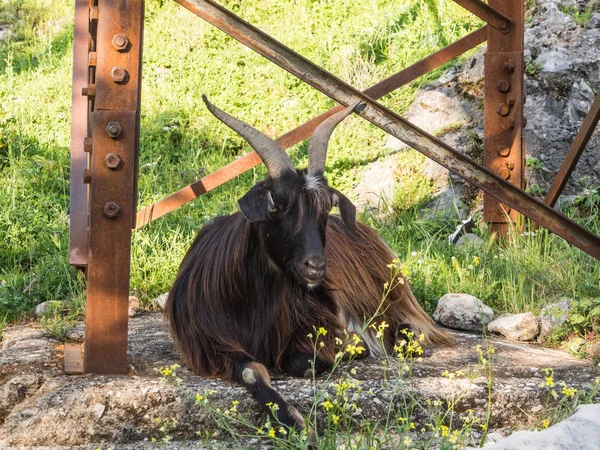 Terk edilmiş eski Şapel Kotor kale arkasındaki dağlarda. Karadağ, Kotor