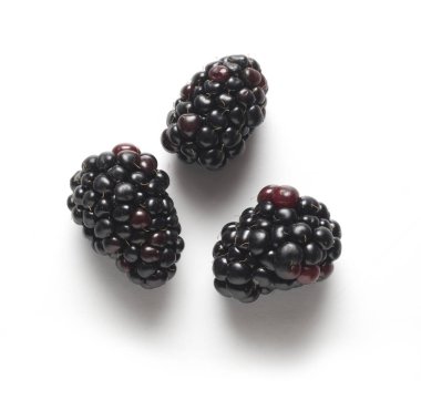 tablo, gölge ile üzerinde üç backberries