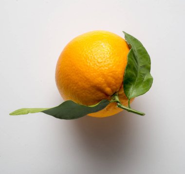 turuncu gölge içeren tabloyu iki yaprak ile