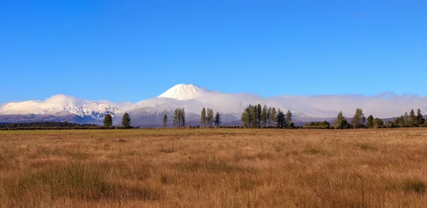 Národní Park Tongariro Byl Krajina Panorama — Stock fotografie