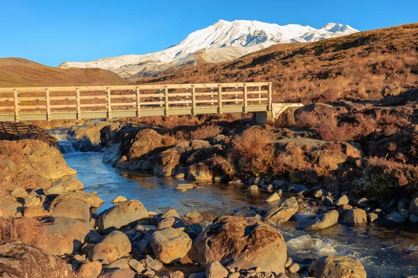 Puente Sobre Arroyo Montaña Monte Ruapehu Parque Nacional Tongariro Nueva —  Fotos de Stock