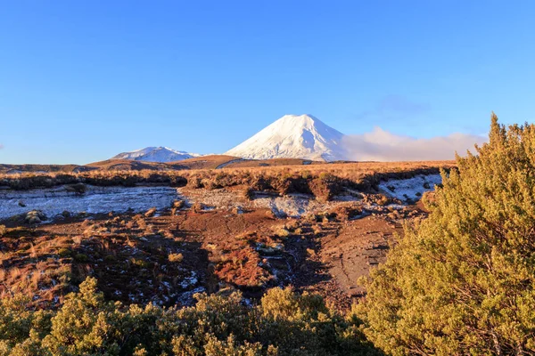 Snow Tops Volcanoes Tongariro National Park New Zealand — Stock Photo, Image