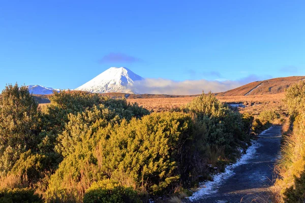 Vulkane Tongariro Nationalpark Neuseeland — Stockfoto