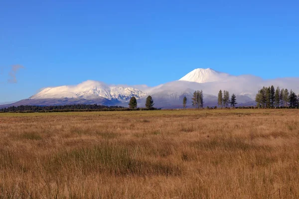 Národní Park Tongariro Byl Krajina — Stock fotografie