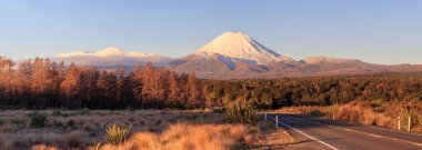 Road at Tongariro National Park and volcano Ngauruhoe, New Zealand clipart