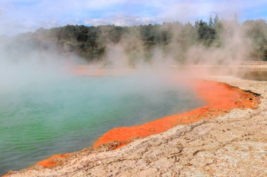  Şampanya Havuzu Wai-o-tapu Termal harikalar, Rotorua, Yeni Zelanda