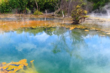 Krater Gölü Kuirau Park, Rotorua, Yeni Zelanda