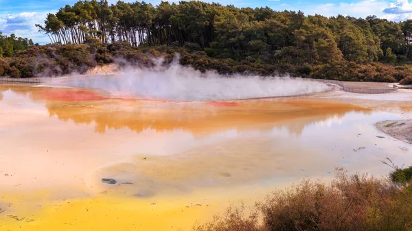 Konstnärens Palett Termiska Sjön Wai Tapu Nya Zeeland — Stockfoto