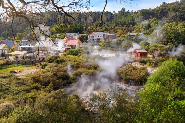  Maori bırakarak termal köy Whakarewarewa, Rotorua, Yeni Zelanda