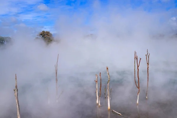 Piscina caliente al vapor en Kuirau park, Rotorua, Nueva Zelanda — Foto de Stock