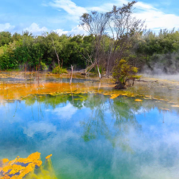 Lago Cratera Parque Kuirau Rotorua Nova Zelândia — Fotografia de Stock