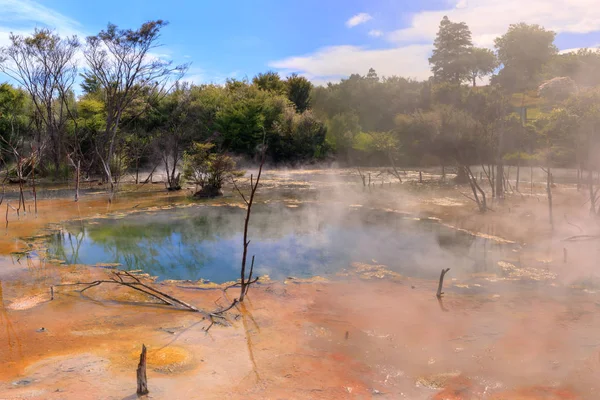 Λίμνη κρατήρα στο πάρκο Kuirau, Rotorua, Νέα Ζηλανδία — Φωτογραφία Αρχείου