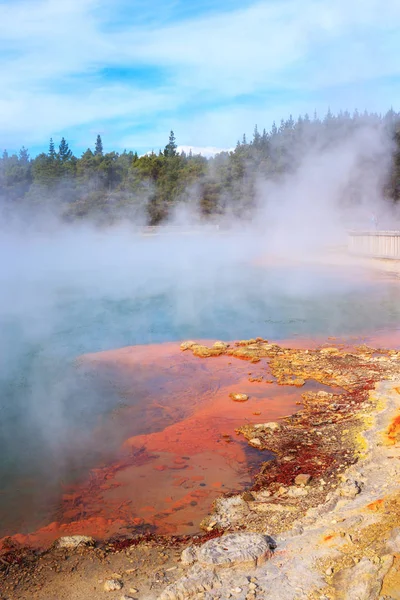 Pezsgő Medence Wai Tapu Termal Csodaországban Rotorua Zéland — Stock Fotó