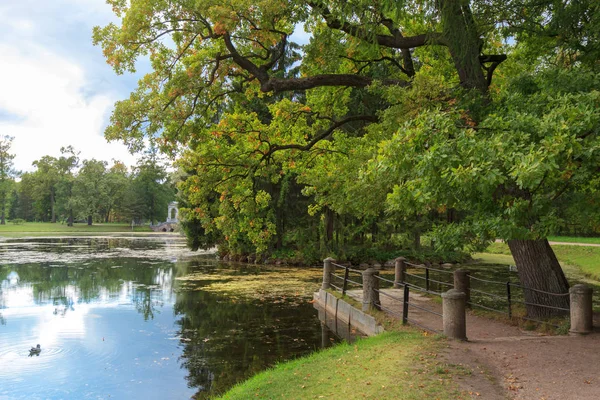 Teich Katharinenpark Puschkin Peterburg — Stockfoto