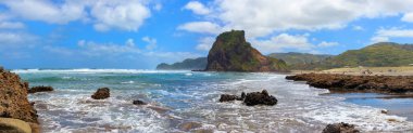 Piha Beach ve aslan Rock panorama, bölge Auckland, Yeni Zelanda