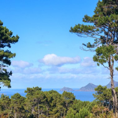 West coast yakınında Auckland, Huia noktasından havadan görünümü
