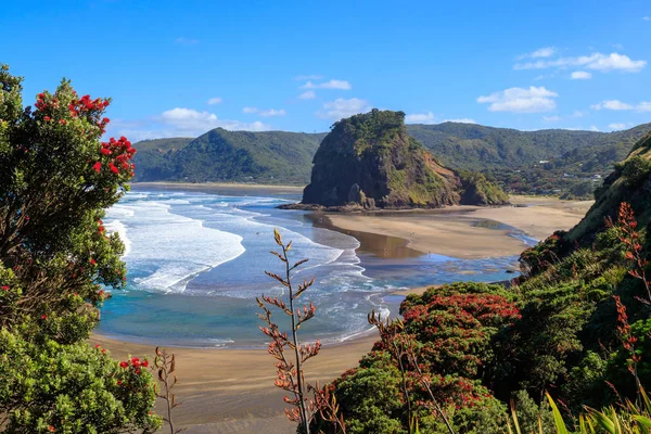 Yaz Piha plaj ve aslan Rock pohutukawa ağaçlı çiçekli, Yeni Zelanda