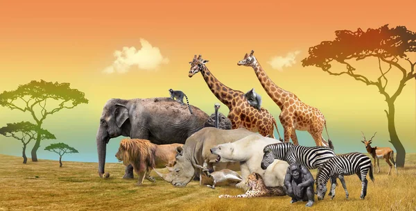 Picturesque landscape of savanna and wild animals group, collage