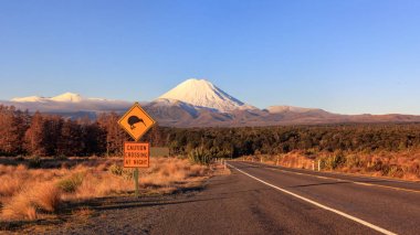 Kivi yol işareti ve volkan Mt. Ngauruhoe gün batımında, Tongariro Ulusal Parkı, Yeni Zelanda