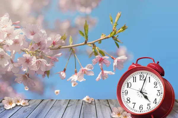 Reloj y flores de cerezo de primavera en la mesa de madera - savin luz del día —  Fotos de Stock
