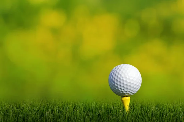 Golfboll på tee Green Grass — Stockfoto