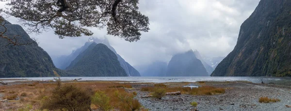 Milford Sound panorama, Fiordland, Sydön, Nya Zeeland — Stockfoto