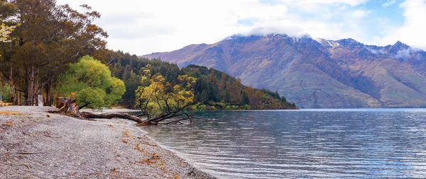 Wilson Bay, Wakatipu Lake — Stock fotografie