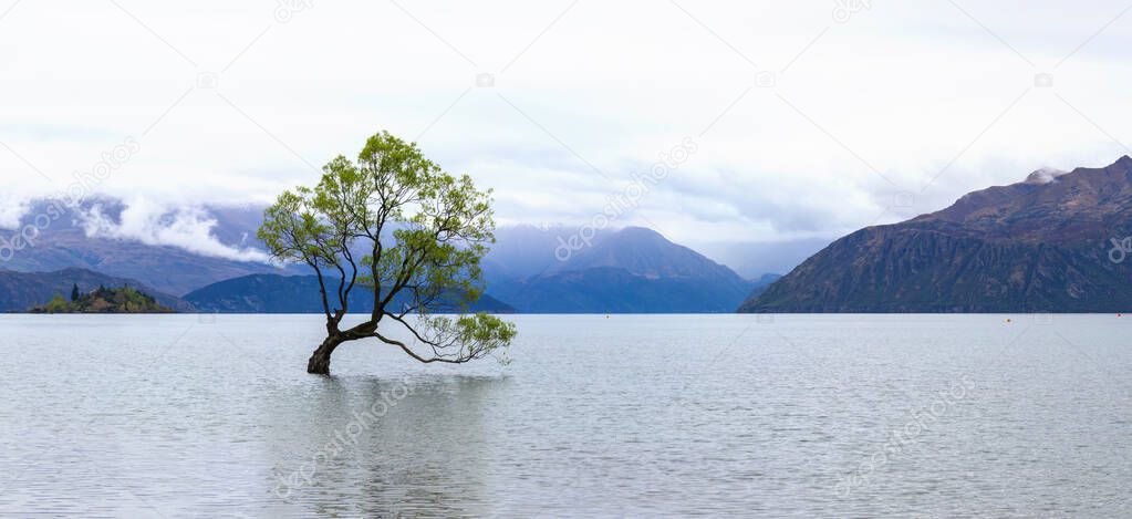 Lake Wanaka tree panorama, New Zealand