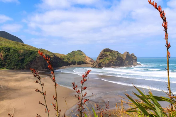 Piha Beach Taitomo Island Vicino Auckland Nuova Zelanda — Foto Stock