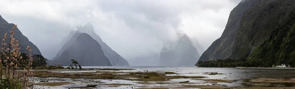 Milford Sound Panorama Fiordland Sydön Nya Zeeland — Stockfoto
