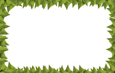 Yeşil yaz izole kare bırakır