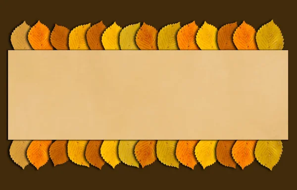 Herfst Frame Met Autumncolored Vertrekt Grens Copyspace Voor Thanksgiving — Stockfoto
