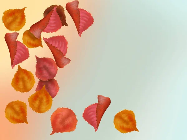 Illustratie Van Mooie Kleurrijke Herfst Bladeren Vallen Van Boom Vintage — Stockfoto