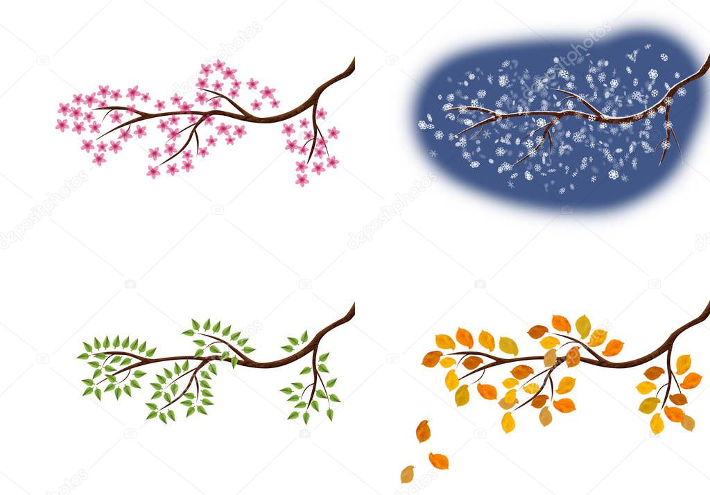 Spring summer autumn and winter illustration a tree branch for each season