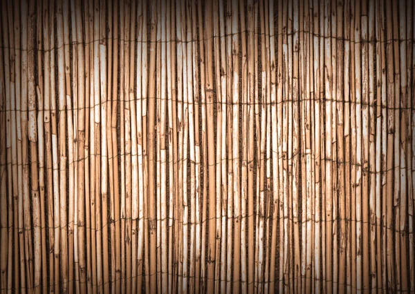 Cerca Bambu Fundo Fechar — Fotografia de Stock