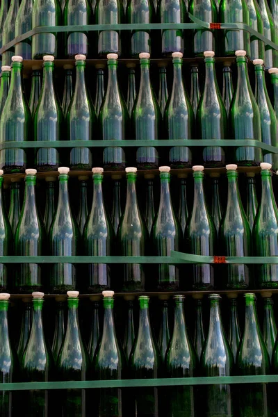 Wine Racks Old Wine Cellar — Stock Photo, Image