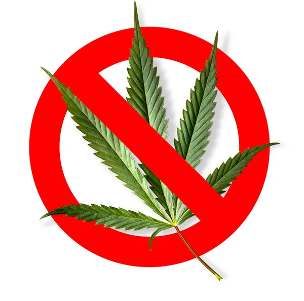 Ingen Marijuana Symboliska Tecken Röd Cirkel Grönt Blad Vit Bakgrund — Stockfoto