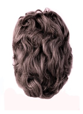 Beyaz arka plan üzerinde izole kahverengi peruk