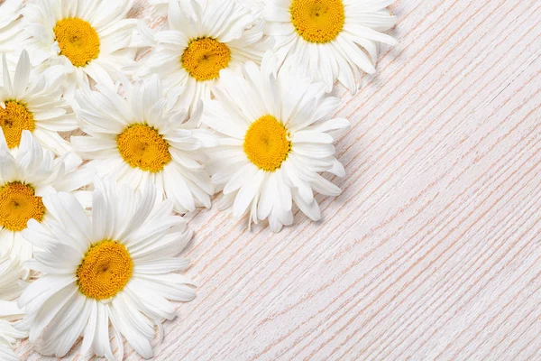 Daisy Kwiaty Rumianku Drewnianym Tle Widok Miejsca Kopiowania — Zdjęcie stockowe