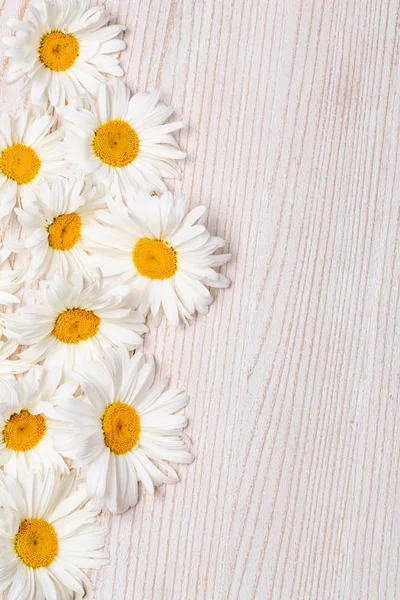 Gänseblümchen Kamillenblüten Auf Holzgrund Ansicht Mit Kopierraum — Stockfoto